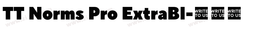 TT Norms Pro ExtraBl字体转换 TT Norms Pro ExtraBl字体转换